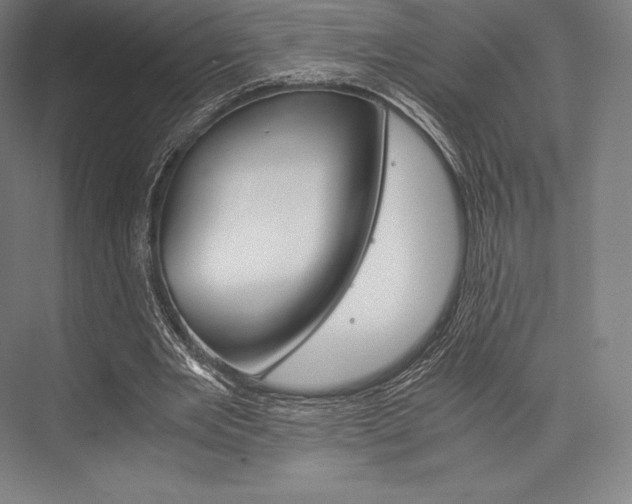 X0000076430485200610061003