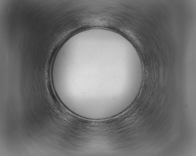 X0000076430487200610061003