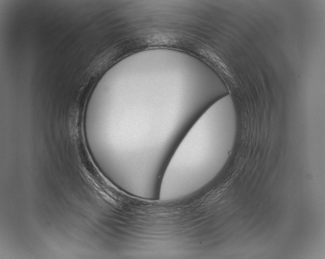 X0000076430490200610061003