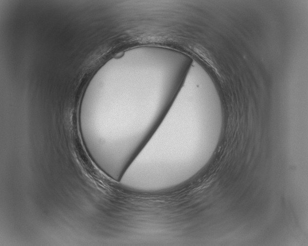 X0000076430491200610061003