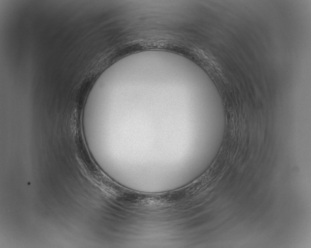 X0000076430498200610061003