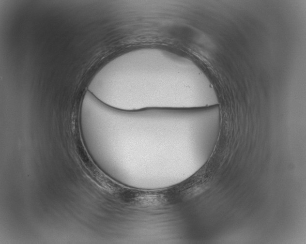 X0000076430499200610061003