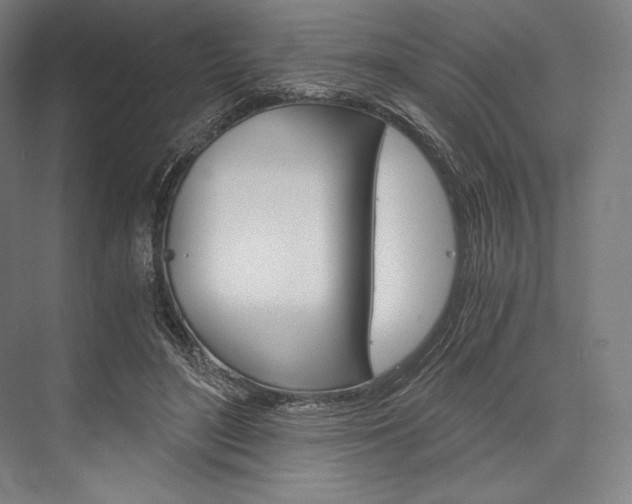 X0000076430500200610061003