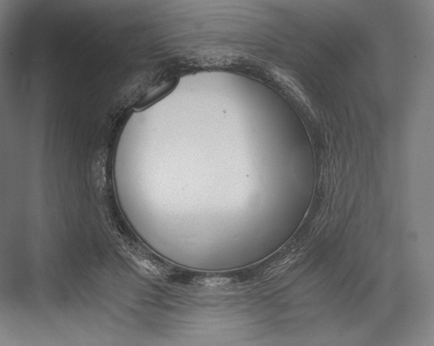 X0000076430501200610061003