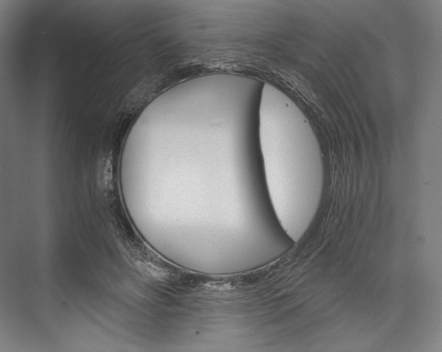 X0000076430502200610061003