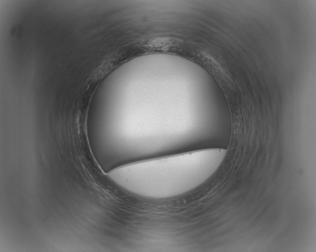 X0000076430504200610061003