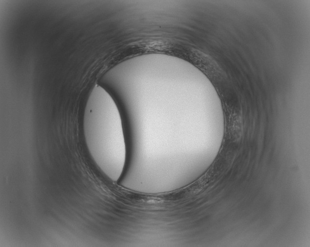 X0000076430506200610061003