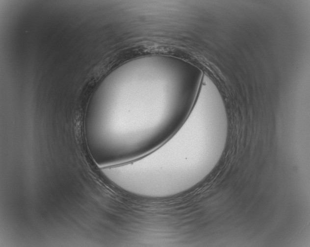 X0000076430513200610061003