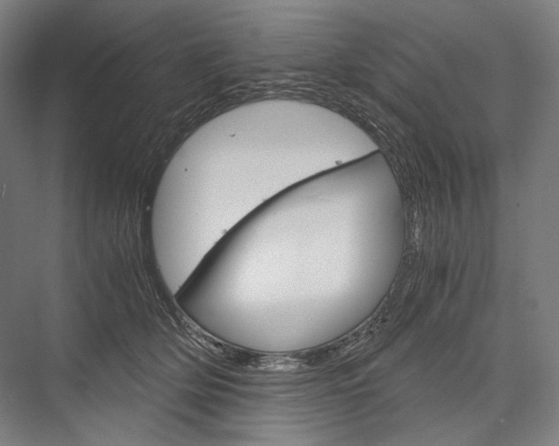 X0000076430514200610061003