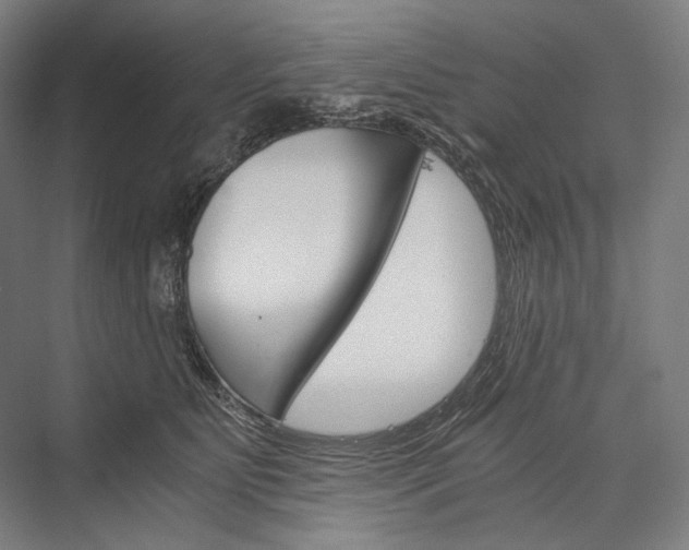 X0000076430515200610061003