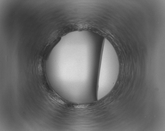 X0000076430516200610061003