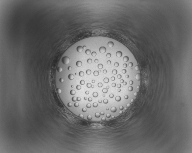 X0000076430519200610061002