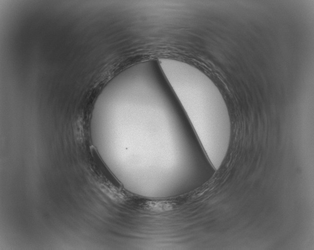 X0000076430520200610061002