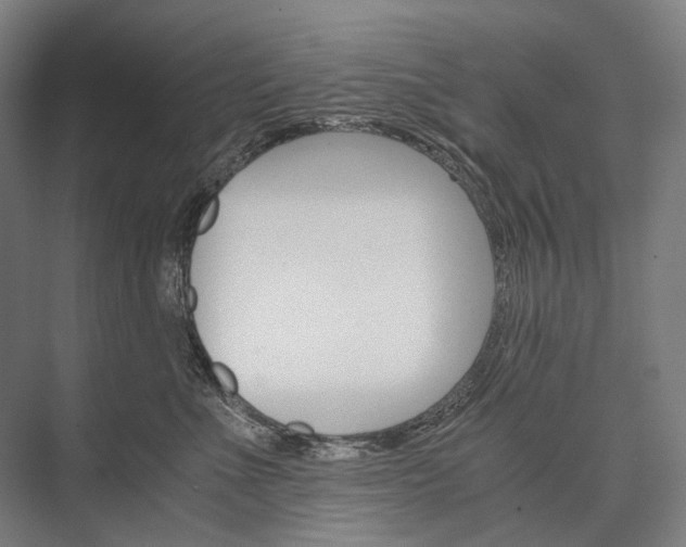 X0000076430523200610061002