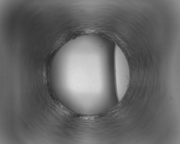 X0000076430524200610061002