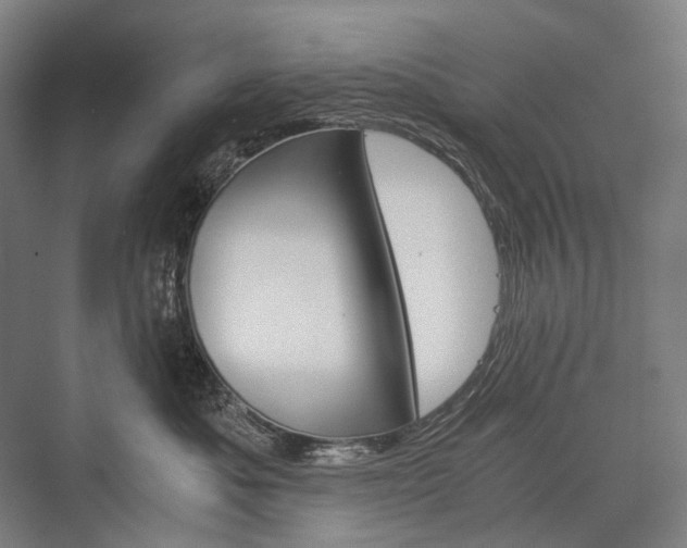 X0000076430525200610061002