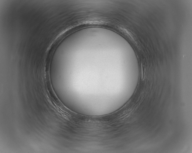 X0000076430531200610061002