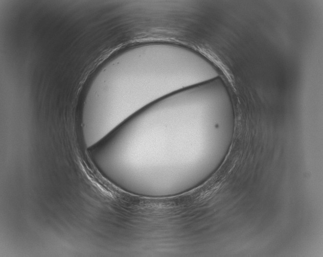 X0000076430533200610061002