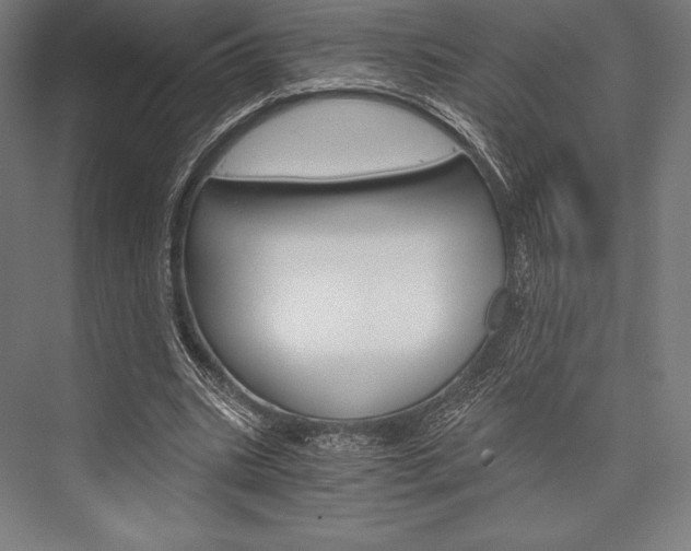X0000076430535200610061002