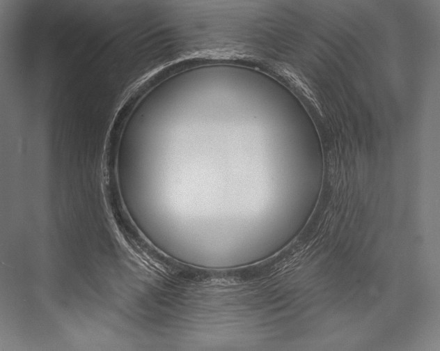 X0000076430536200610061002