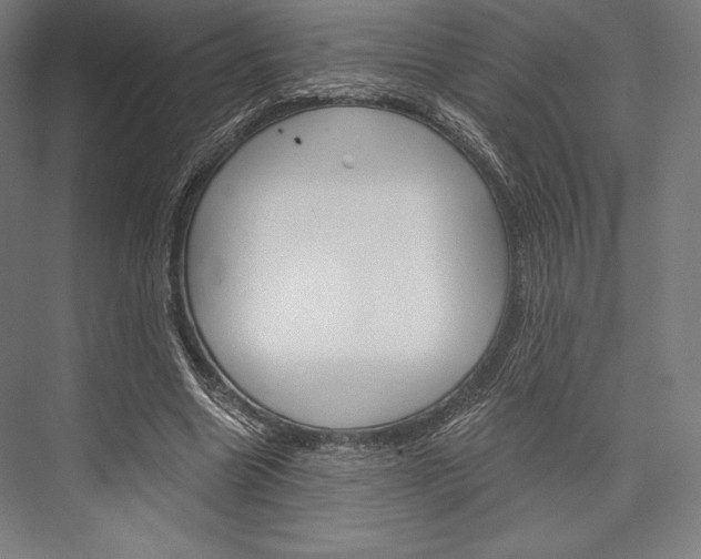 X0000076430538200610061002
