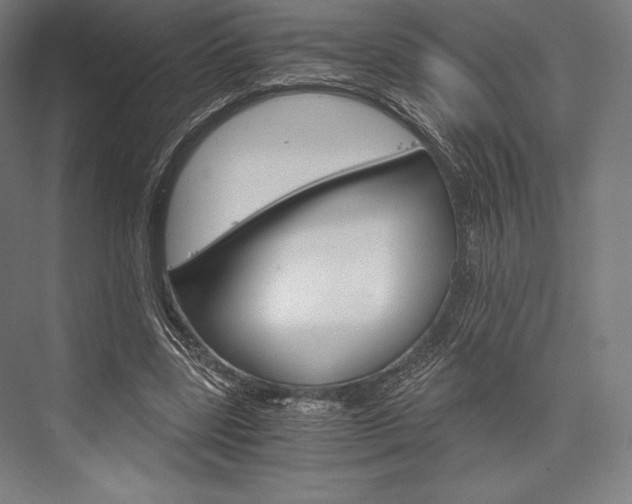 X0000076430539200610061002