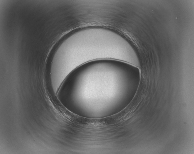 X0000076430540200610061002