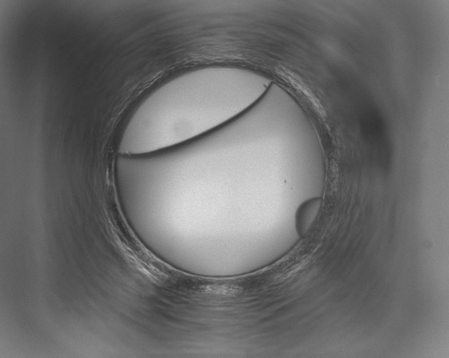 X0000076430541200610061002