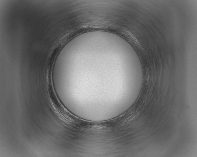 X0000076430542200610061002