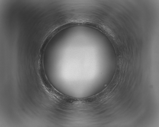 X0000076430544200610061002