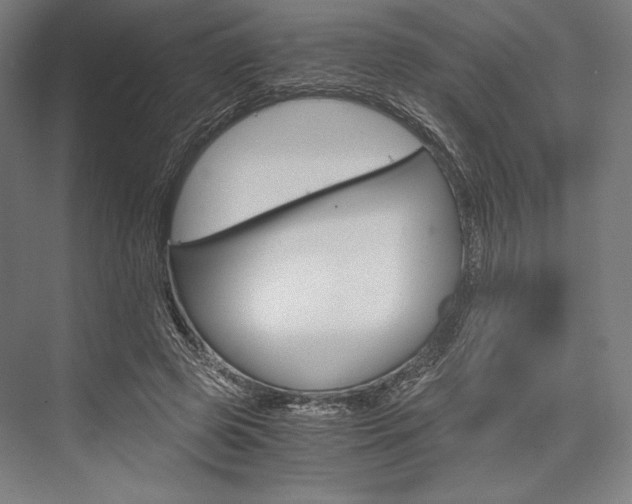 X0000076430545200610061002