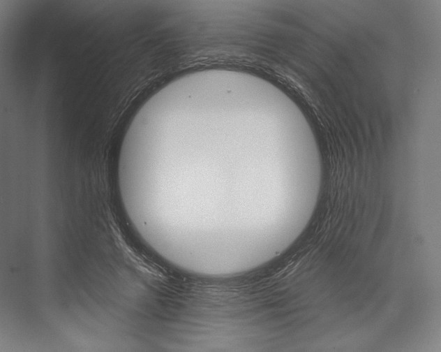 X0000076430546200610061002