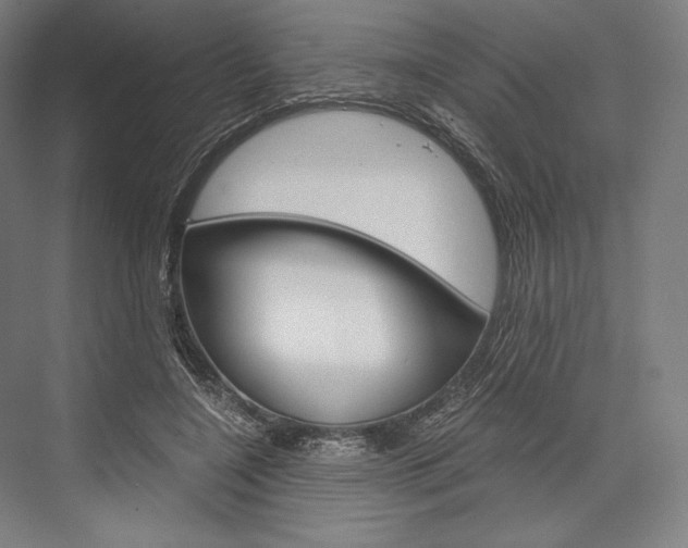 X0000076430548200610061002