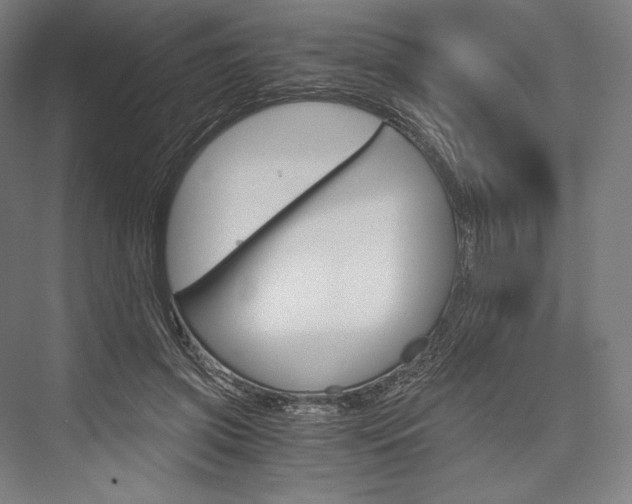 X0000076430549200610061002