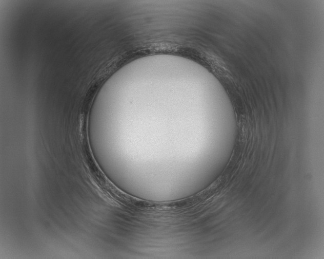 X0000076430550200610061002