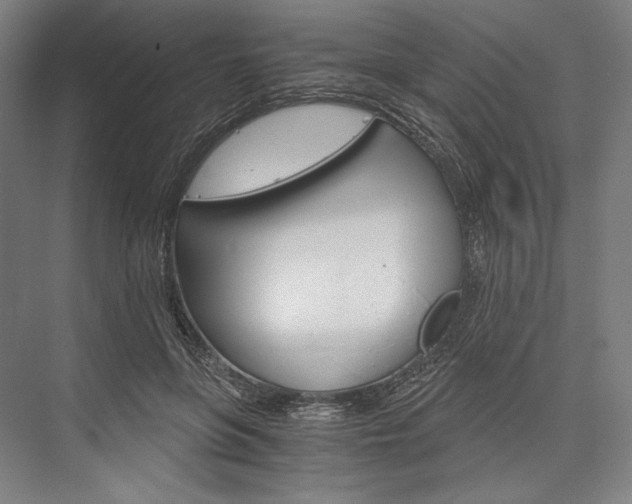 X0000076430551200610061002