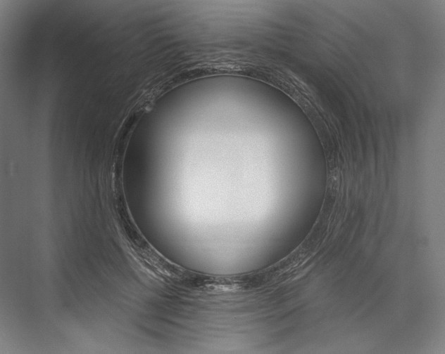 X0000076430552200610061002