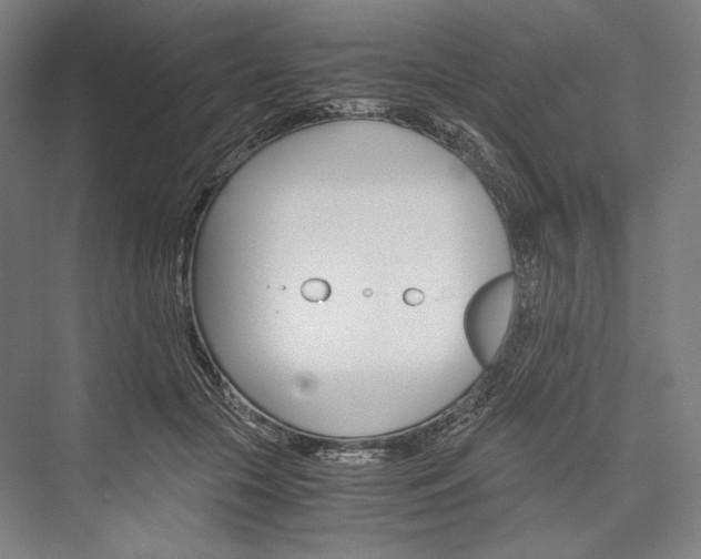 X0000076430553200610061002