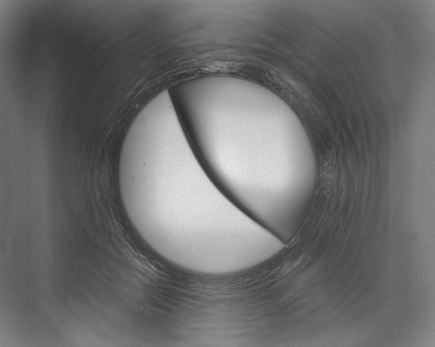 X0000076430554200610061002