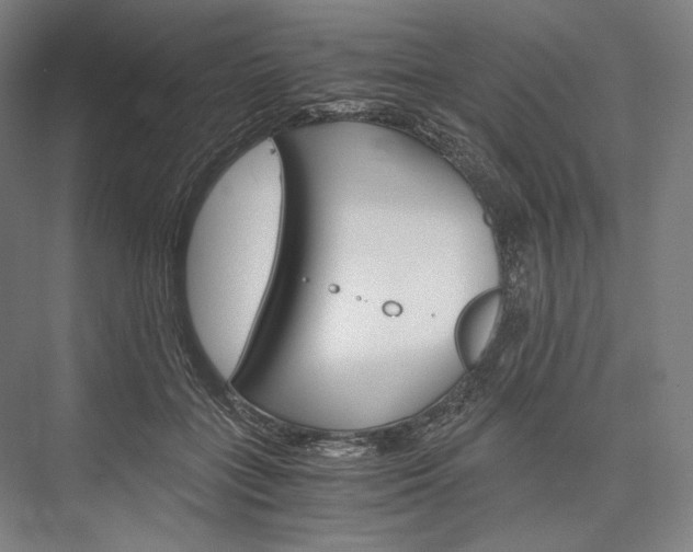 X0000076430555200610061002