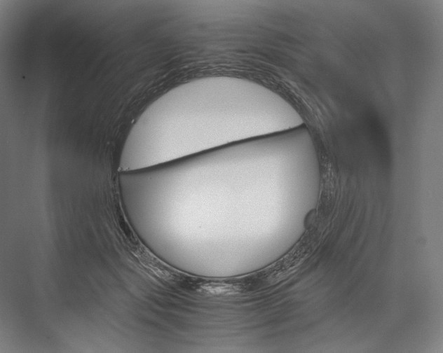 X0000076430557200610061002