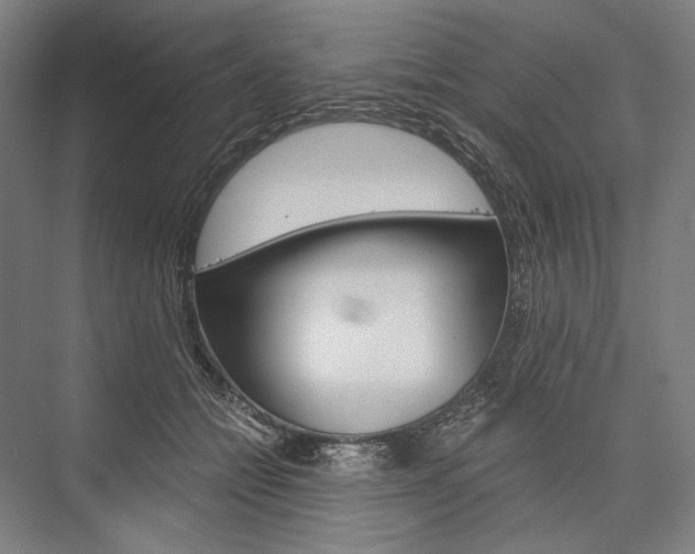 X0000076430558200610061002