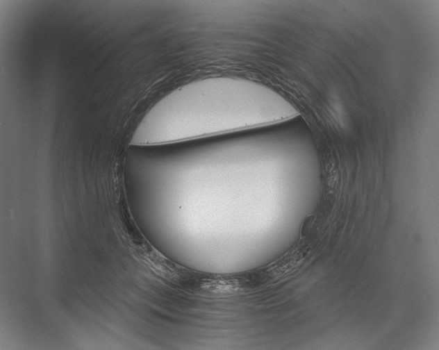 X0000076430559200610061002