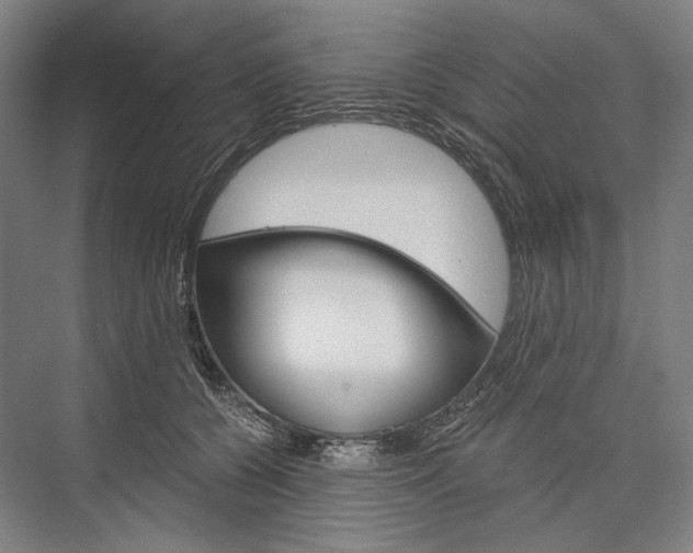X0000076430560200610061002