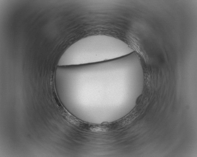 X0000076430561200610061002