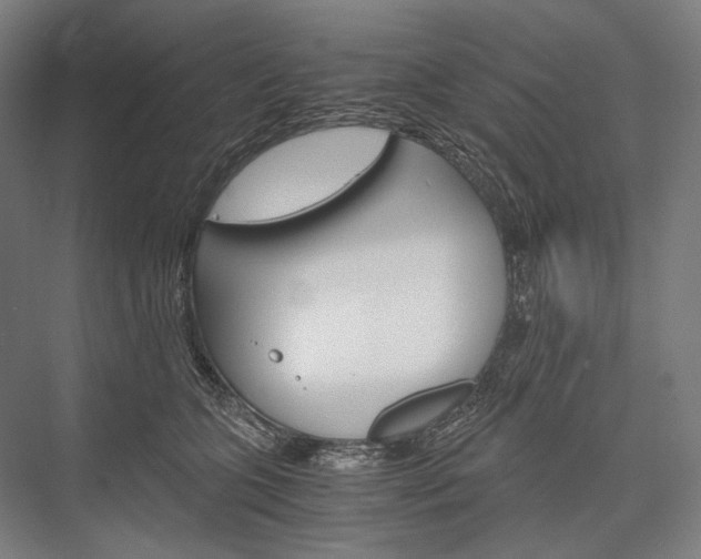 X0000076430563200610061002