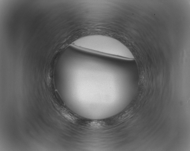 X0000076430566200610061002