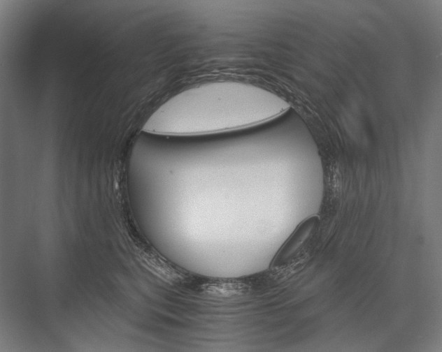 X0000076430567200610061002