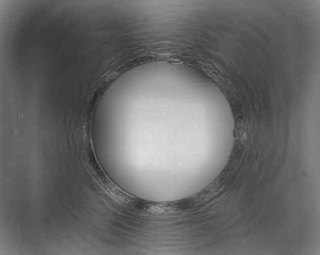 X0000076430568200610061002