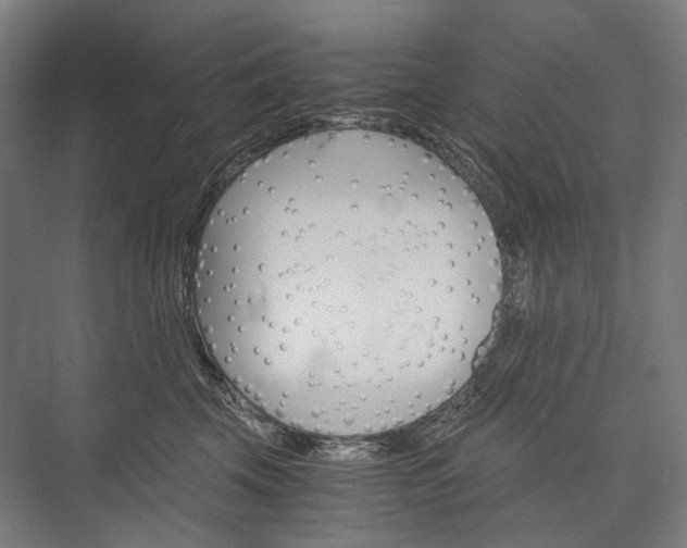 X0000076430569200610061002